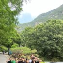 투혼길라잡이 이미지