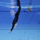 문수실내수영장 | 울산 프리다이빙 강습 프린이의 내돈내산 후기 * 문수실내수영장 다이빙풀 * 자격증 강습비용