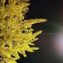 3214 배수영 이미지