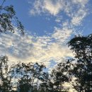 수중시티초밥 이미지