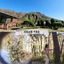 진안고원치유숲(전북환경성질환 치유센터) 이미지