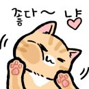 럭키랜드 이미지