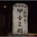 용바우 이미지