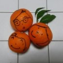 오롯이 제주 스테이 이미지