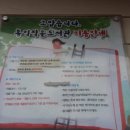 홍익영아원 이미지