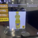 신선 낙지 | [방이시장 - 꽃낙지 본점] 역대급 크기의 신선한 낙지볶음 점심 솔직후기, 주문 꿀팁까지~