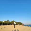 율포빌딩 이미지