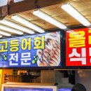 동문올레횟집 이미지