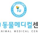 아이유동물메디컬센터 이미지