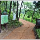 오감연결길 이미지