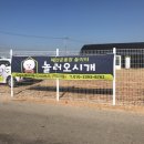 놀러오시개