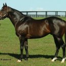 통산2목장 이미지