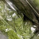 광채농장 이미지