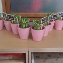 나포초등학교 이미지