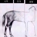 메멘토 모리 카르페디엠 이미지