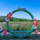 황강생태공원2 이미지