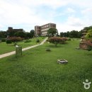 경북대학교 이미지