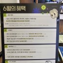 제주 안경점 "다비치 제주일도점" 단골된 후기 : 제주 안경 제주 렌즈
