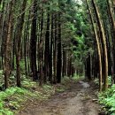 SKY당구클럽 이미지