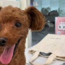 그룸 앤 먼치 이미지