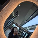 리핸즈