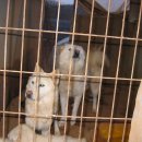 화성농장 이미지