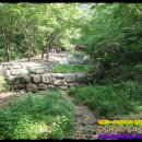 장곡자연휴양림 이미지