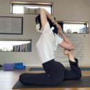 푸르메가살고있는곳 이미지