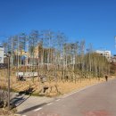 주식회사 바른정원