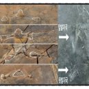 금남 다목적체육관 이미지