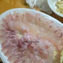 거진시장 | 강원도 고성 여행 거진 난전 활어 판매장 방문 후기