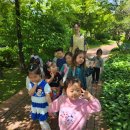 [바깥놀이]&#34;5월의 신록을 느껴보세요~~&#34;🌿☘️🍀🌳🌲🌿🍀 이미지