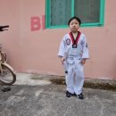 태경태권도 이미지