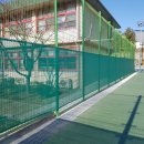 금성초등학교 이미지