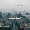 (주)다우컴퍼니 이미지