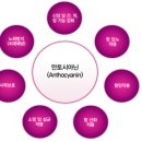 해피트리코리아
