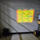 JY태권도 이미지