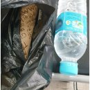 연곡면사무소(버스정류장) | 강릉 현덕사 가는 길