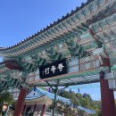 춘향테마파크안내소 | 남원 가볼만한곳 국내 11월 가을 여행지 추천 춘향테마파크, 광한루원, 구서도역 영상촬영지 외 2곳