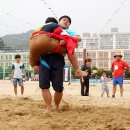 화순오성초 이미지