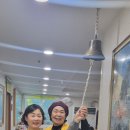 겨자씨 사랑의 집 Daum카페