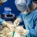 OK동물병원 이미지