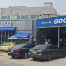 팀케이엠모터스포츠