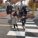 움트리어린이집 이미지