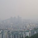 개미행정사 이미지