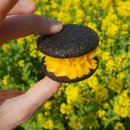 금강렌트카 이미지