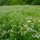 생각하는정원 이미지