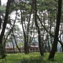 영월청령포 이미지