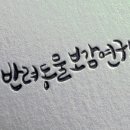 반려동물보감연구소 이미지