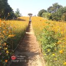 올림픽공원역1번출구(뒤) 이미지